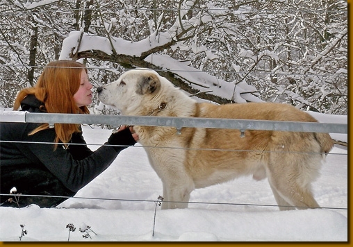 HundeKinderKhal