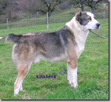 pKhanjar01